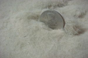 Figure 6. Settled dust, chamber floor 16-hour accumulation.