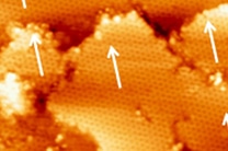 An STM topograph (40 nm x 40 nm) of a multilayer silicene film (Source: IOP)